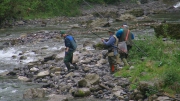 PIC_6943 (1)